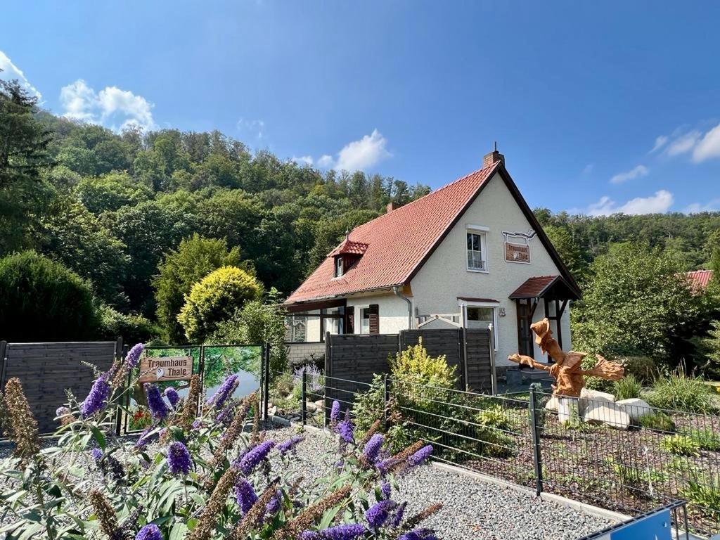 Traumhaus Thale Mit Sauna Und Kamin Exterior photo